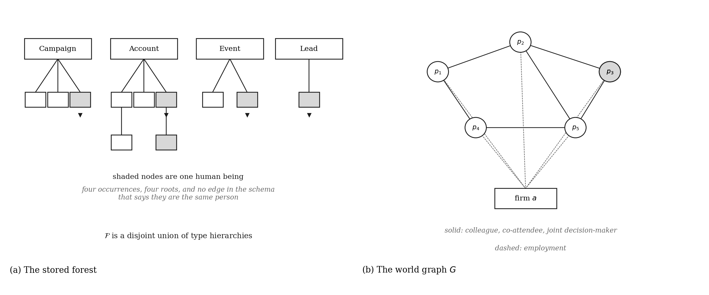 The forest and the graph